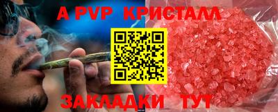 МДПВ Волгодонск