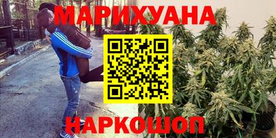 МДПВ Волгодонск