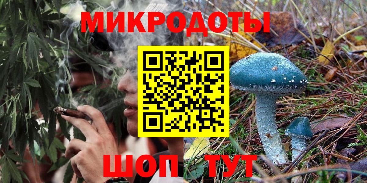 Псилоцибиновые грибы Cubensis Железногорск