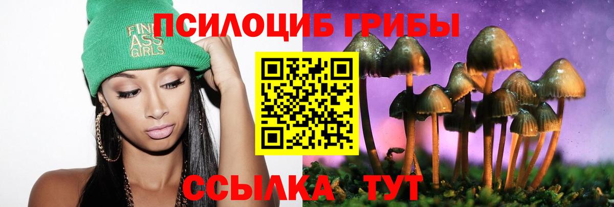 Псилоцибиновые грибы Magic Shrooms  Псилоцибиновые грибы мицелий  Вход с VPN  Железногорск 